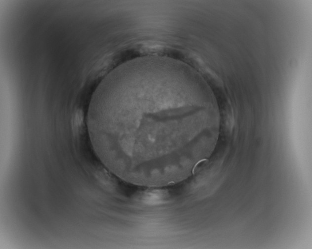 X0000114500711200910191251