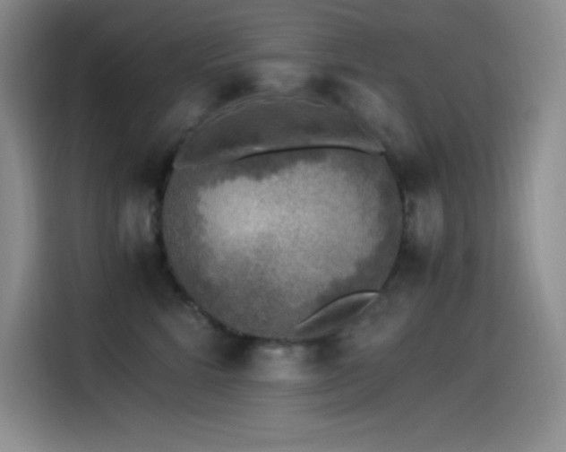 X0000114500712200910191251