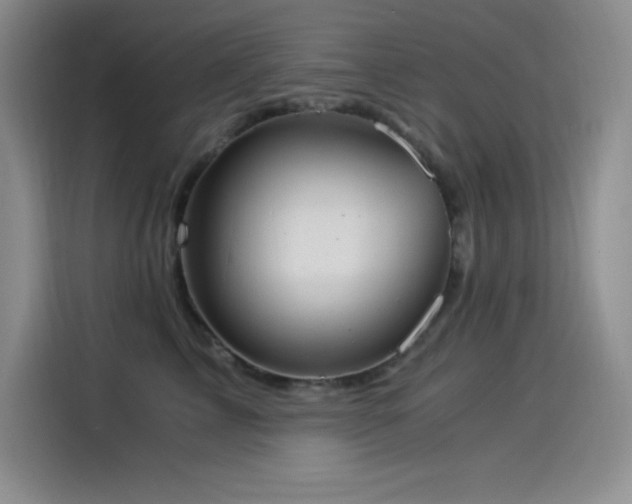 X0000114500713200910191251