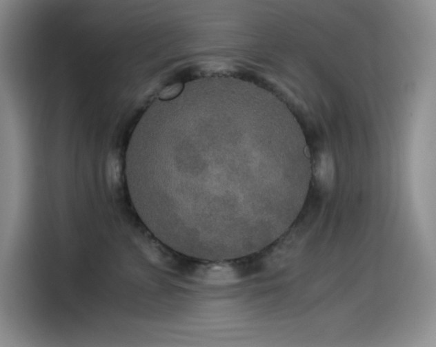 X0000114500715200910191251