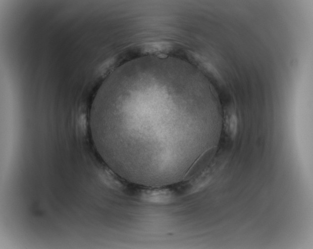 X0000114500716200910191251