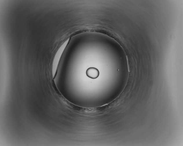 X0000114500720200910191251