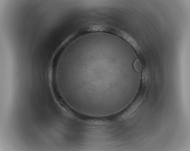 X0000114500722200910191250