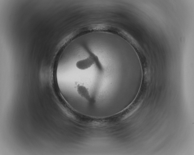 X0000114500725200910191250