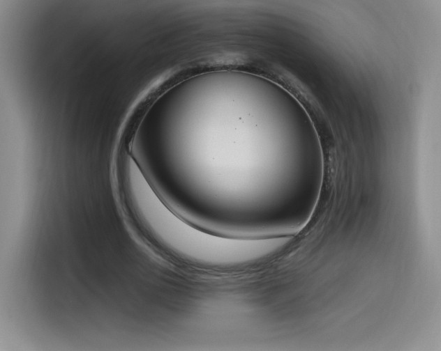 X0000114500726200910191250