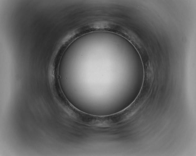 X0000114500727200910191250