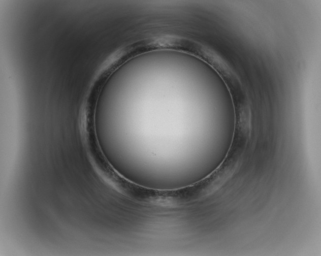 X0000114500730200910191250