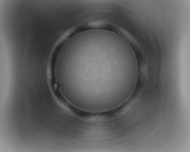 X0000114500734200910191250
