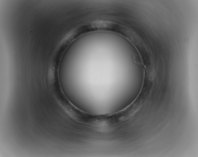 X0000114500735200910191250