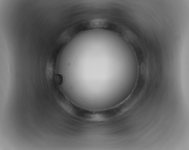 X0000114500741200910191250