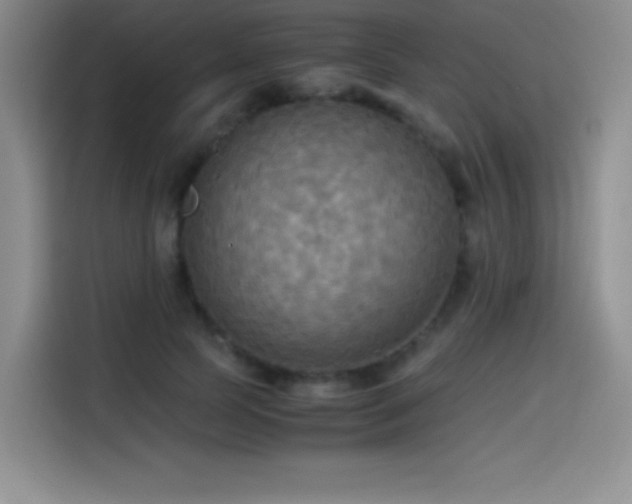 X0000114500745200910191250