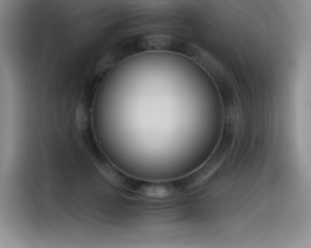 X0000114500751200910191250