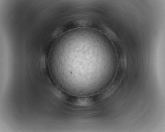 X0000114500757200910191251