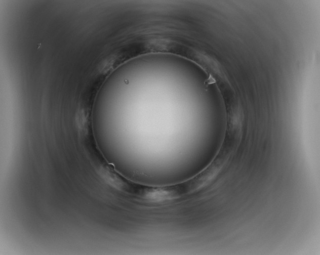 X0000114500759200910191251