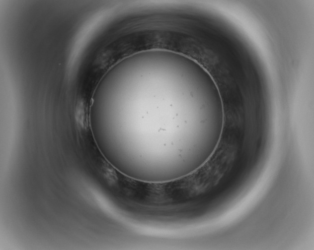 X0000114500766200910191251