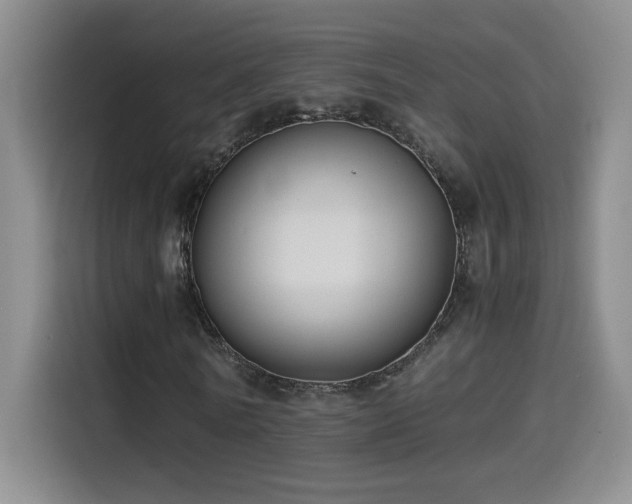 X0000114500770200910191250