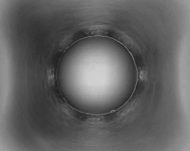 X0000114500771200910191250