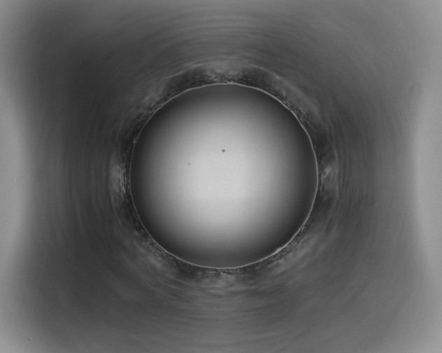 X0000114500772200910191250