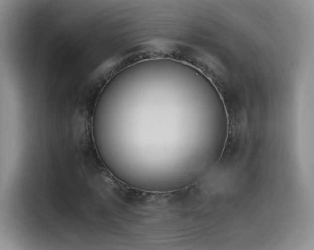 X0000114500773200910191250