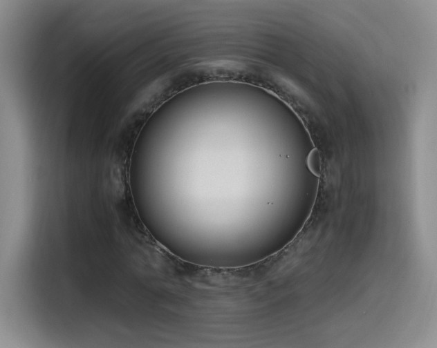 X0000114500774200910191250