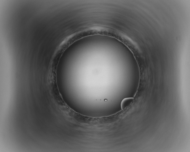 X0000114500776200910191250