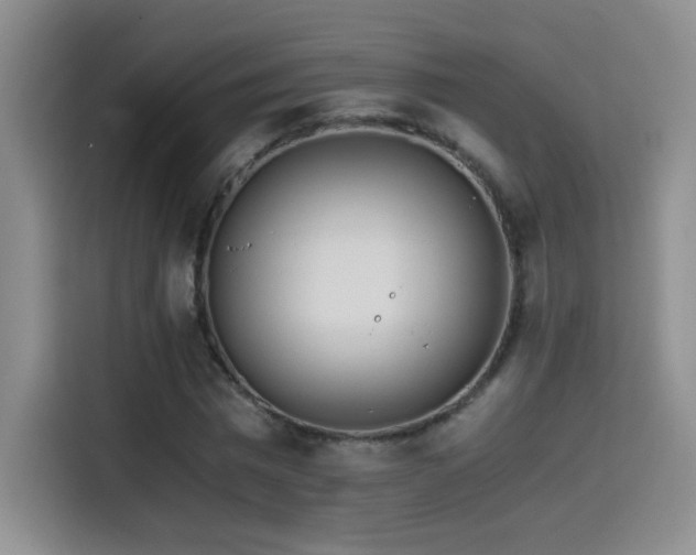 X0000114500777200910191250
