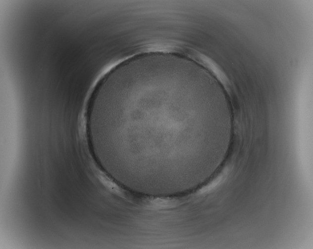 X0000114500779200910191250