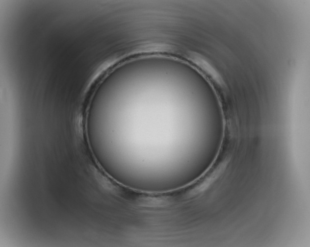 X0000114500781200910191250