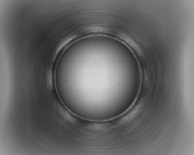 X0000114500782200910191250