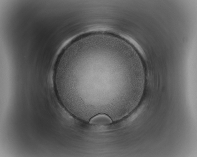X0000114500783200910191250