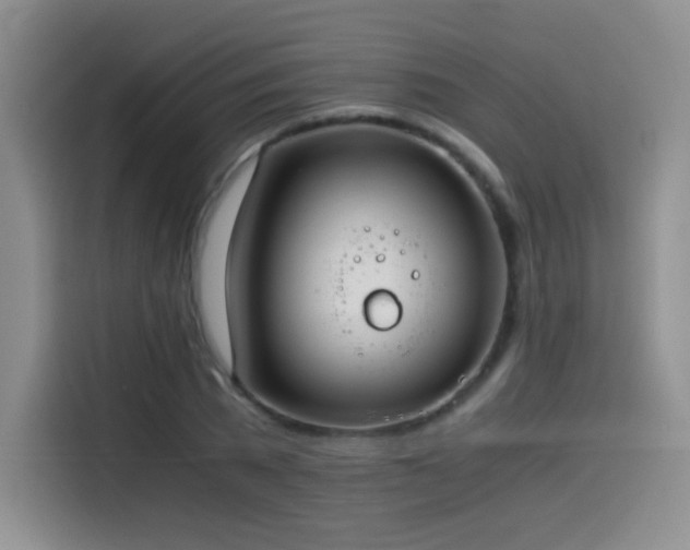 X0000114500785200910191250