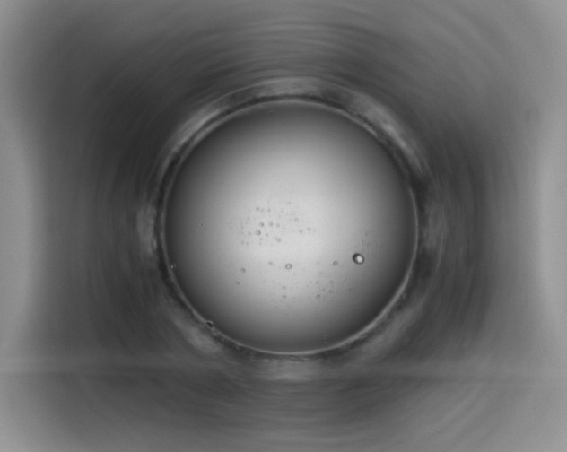 X0000114500786200910191250