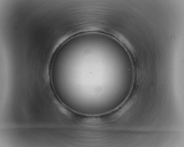 X0000114500789200910191250