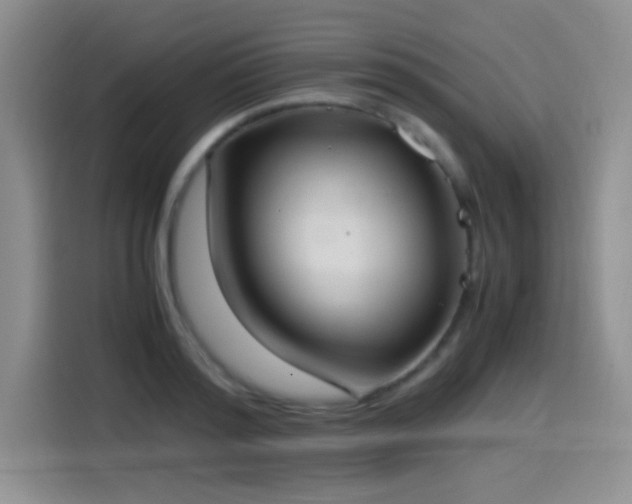 X0000114500796200910191250