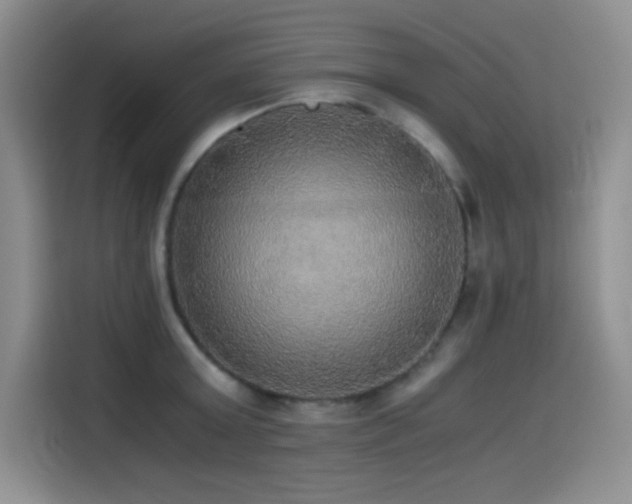 X0000114500803200910191250