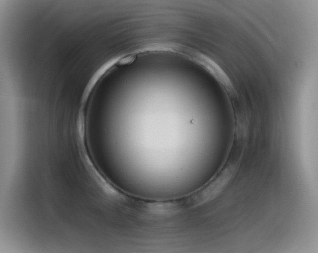 X0000114500804200910191250