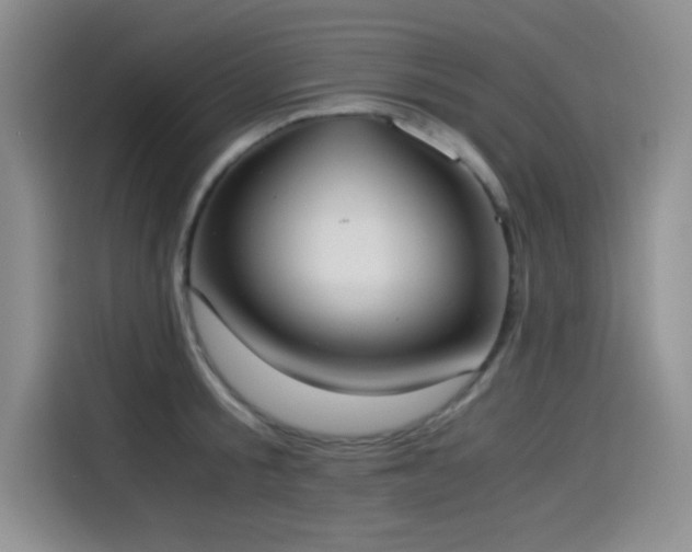 X0000114500805200910191250