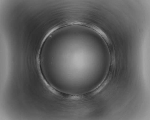 X0000114500806200910191250