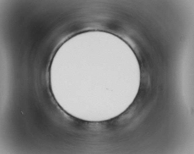 X0000114500807200910191250