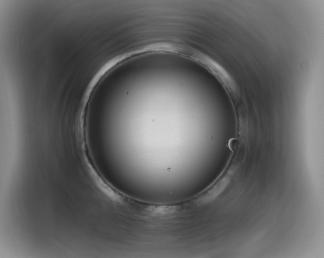 X0000114500808200910191250