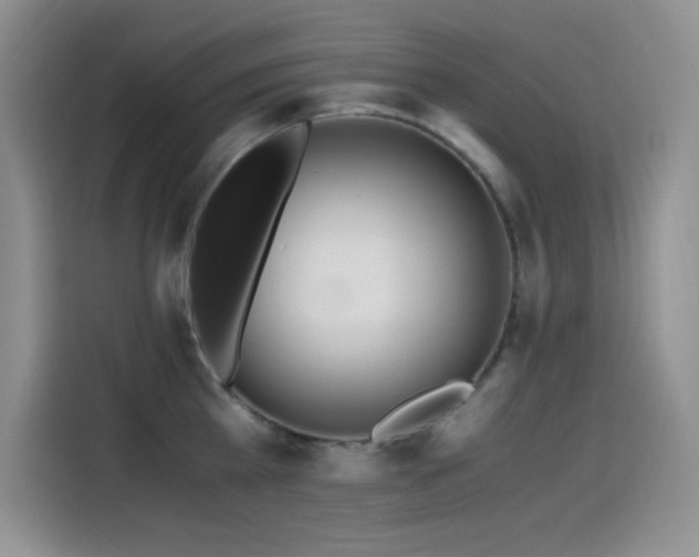 X0000114500809200910191250