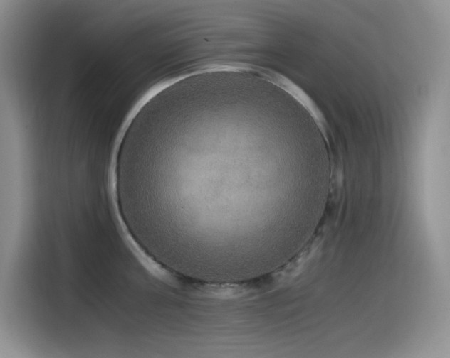 X0000114500811200910191249