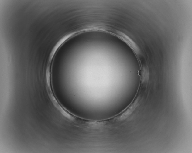 X0000114500812200910191249