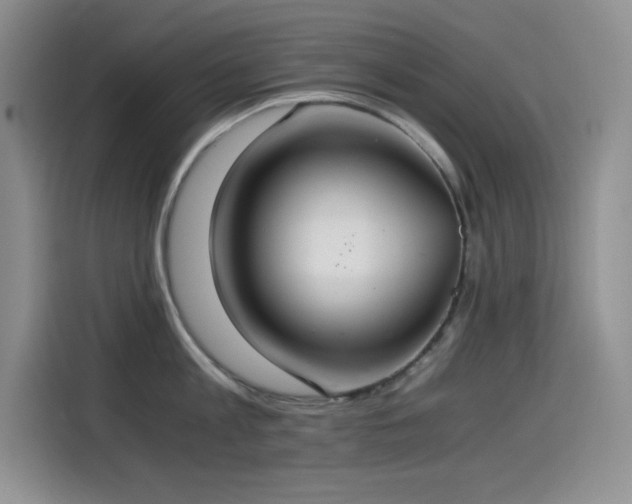X0000114500813200910191249