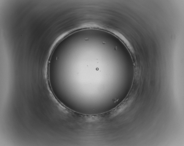 X0000114500815200910191249
