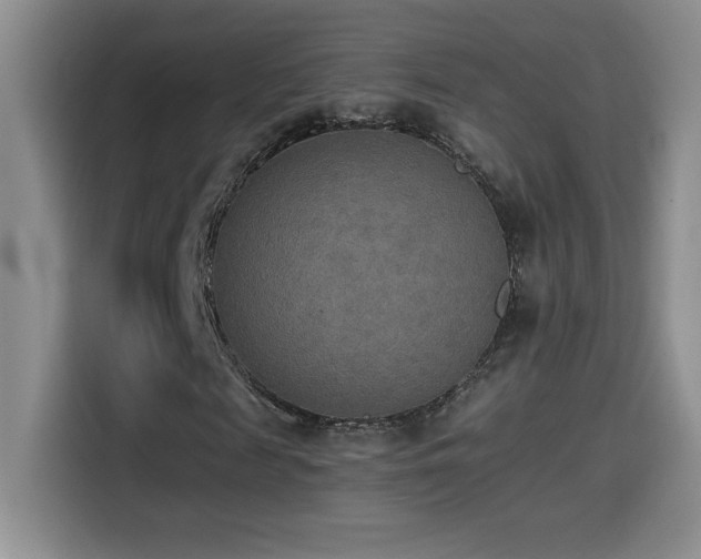 X0000114500817200910191249