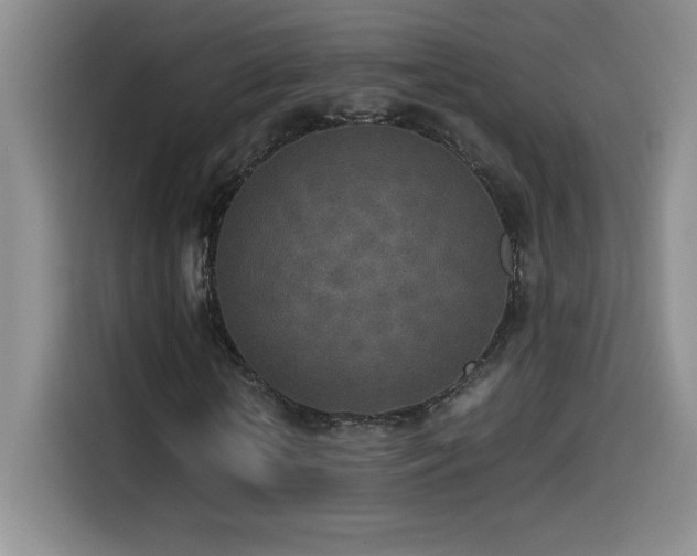 X0000114500818200910191249