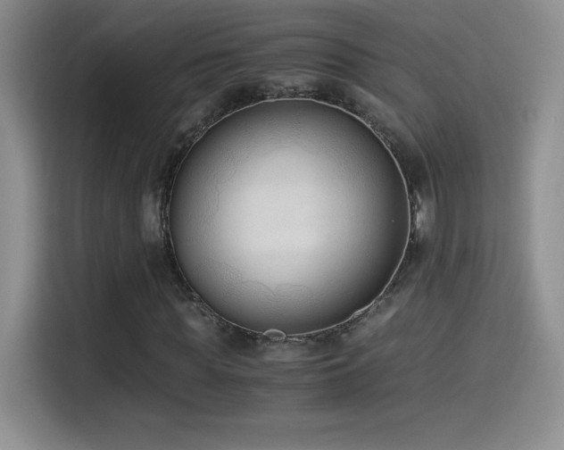 X0000114500819200910191249