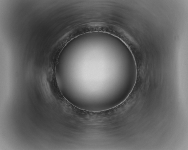 X0000114500821200910191249