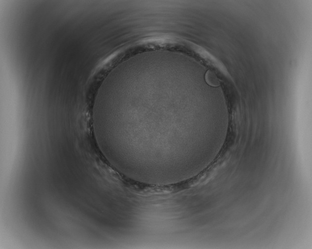 X0000114500822200910191249